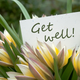 iStock